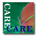 CARE Template